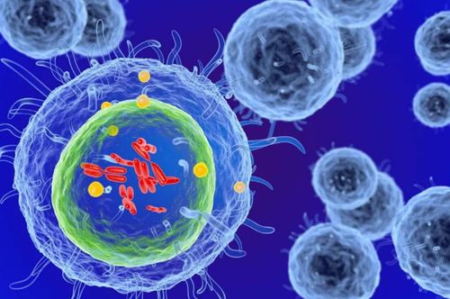 細胞治療 以生命修復生命，干細胞技術引領現代醫學革命